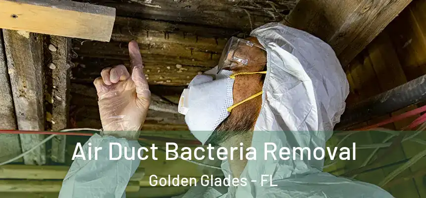 Air Duct Bacteria Removal Golden Glades - FL