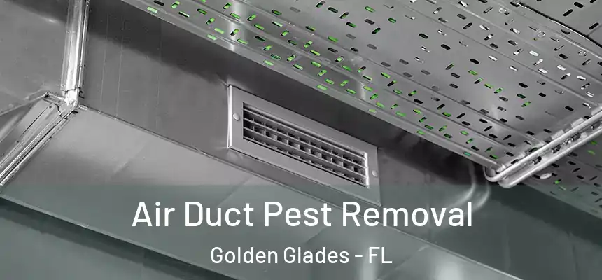 Air Duct Pest Removal Golden Glades - FL