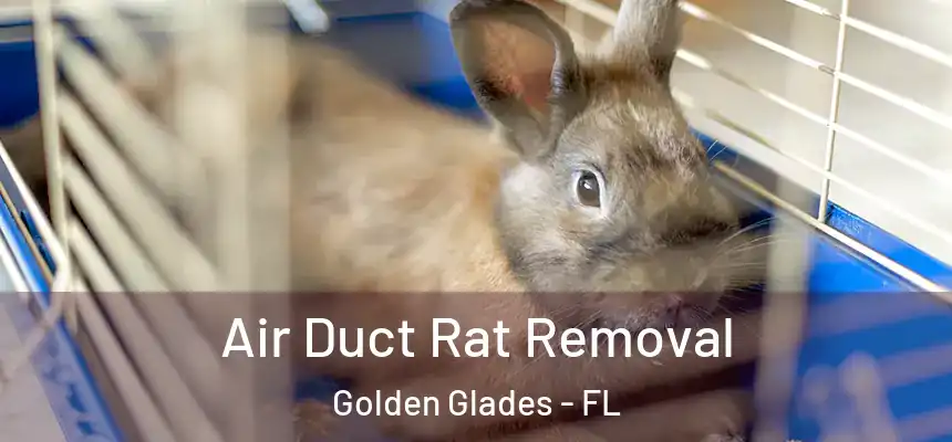 Air Duct Rat Removal Golden Glades - FL