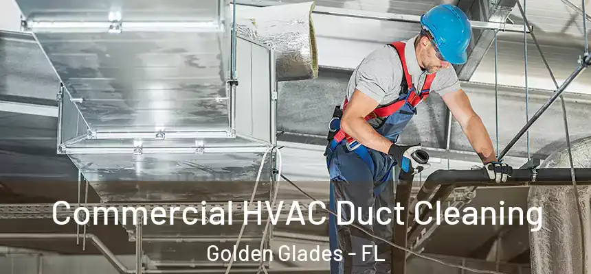 Commercial HVAC Duct Cleaning Golden Glades - FL