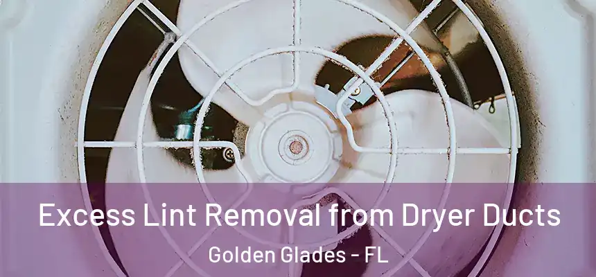 Excess Lint Removal from Dryer Ducts Golden Glades - FL