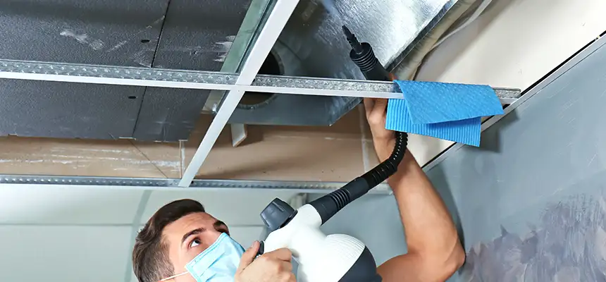 Our Air Duct Rodent Removal Services in Golden Glades, FL