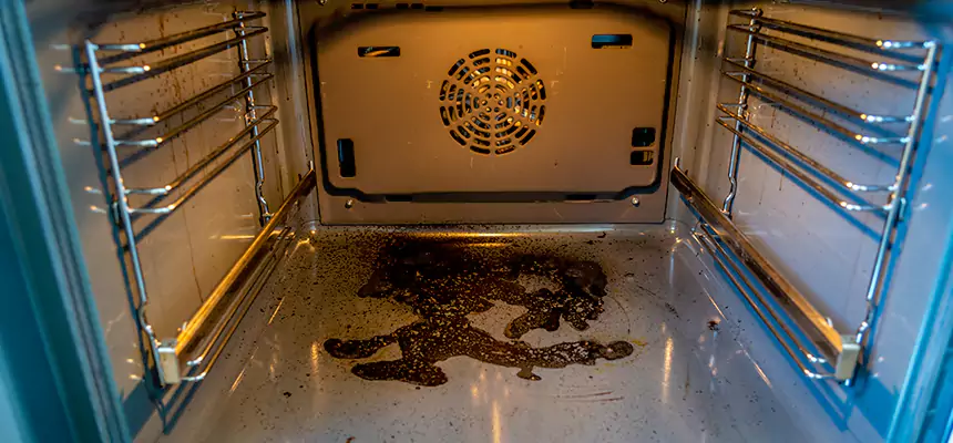 Our Dryer Vent Mold Cleaning Services in Golden Glades, FL