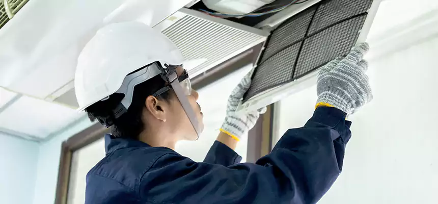 Our Mold & Mildew Removal from Air Ducts Services in Golden Glades, FL