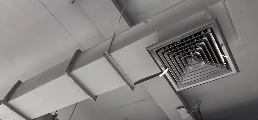 Our Rodent Droppings In Vents Services in Golden Glades, FL