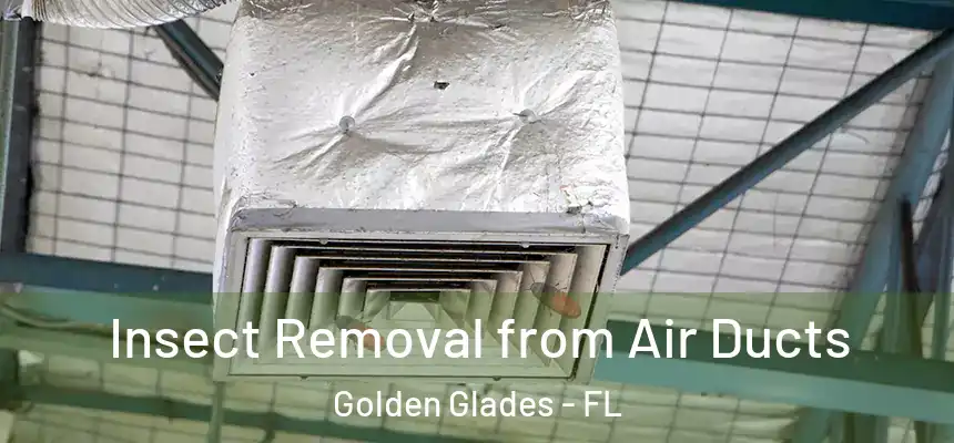 Insect Removal from Air Ducts Golden Glades - FL