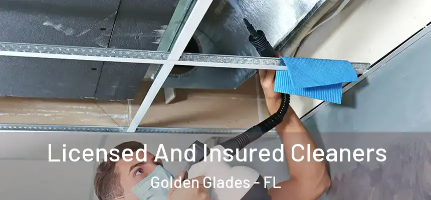 Licensed And Insured Cleaners Golden Glades - FL