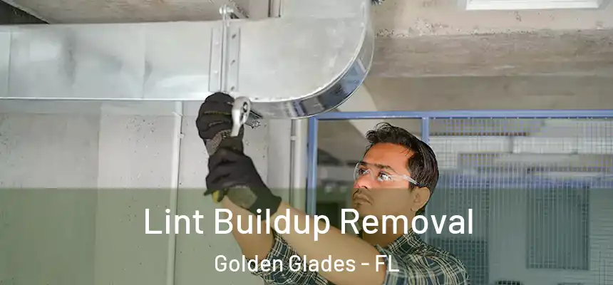 Lint Buildup Removal Golden Glades - FL