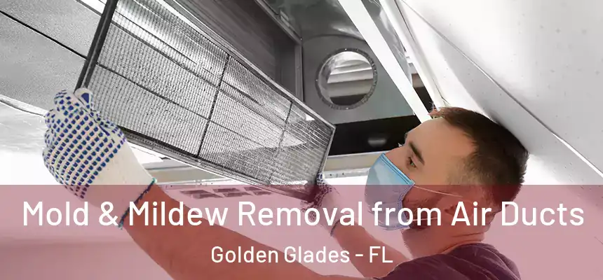 Mold & Mildew Removal from Air Ducts Golden Glades - FL