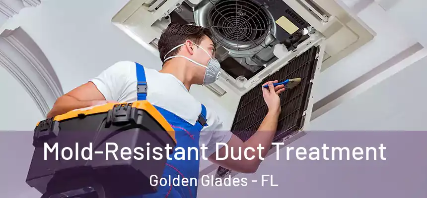 Mold-Resistant Duct Treatment Golden Glades - FL