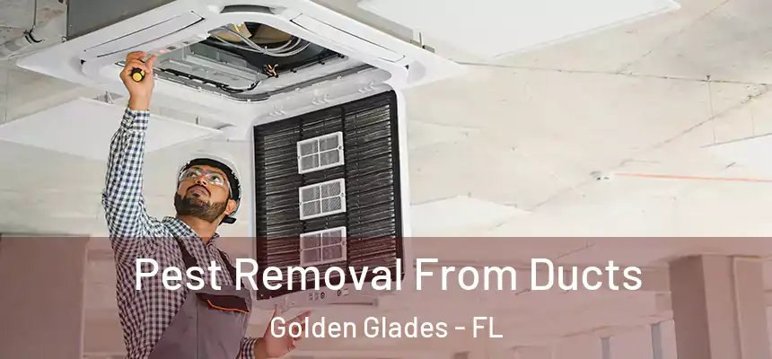 Pest Removal From Ducts Golden Glades - FL