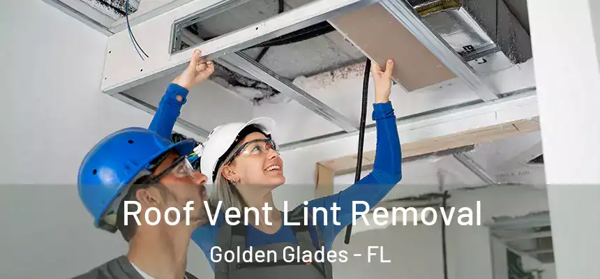 Roof Vent Lint Removal Golden Glades - FL