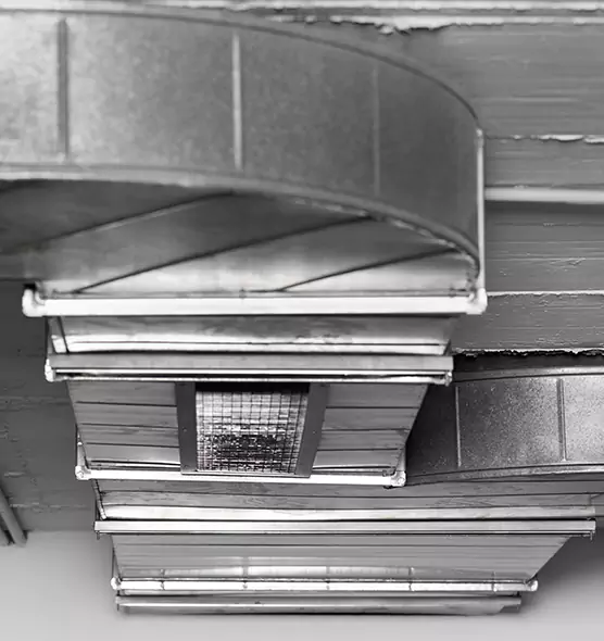 Professional Air Duct Pest Removal in Golden Glades, FL