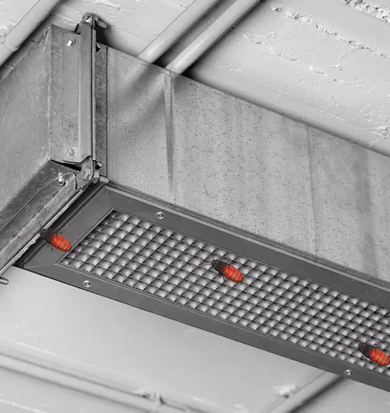 Affordable Insect Removal from Air Ducts in Golden Glades, FL