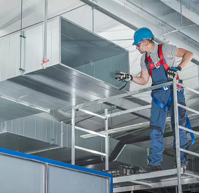 Why Homeowners & Businesses Trust Us in Golden Glades, FL?