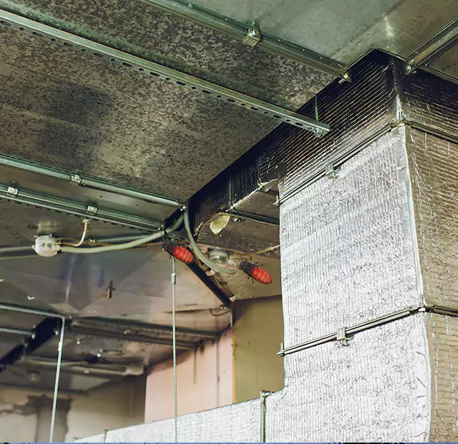 Why Homeowners & Businesses Trust Us Golden Glades, FL?