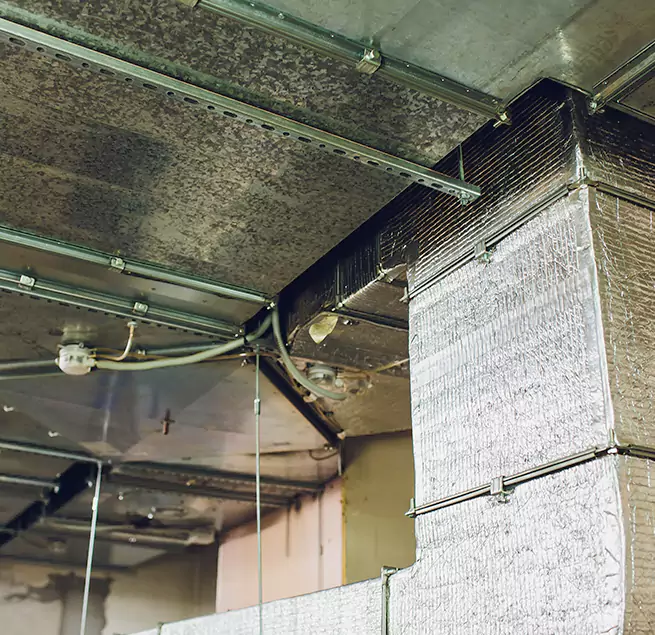 Why Homeowners & Businesses Trust Us in Golden Glades, FL?